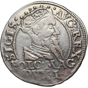 Sigismund II Augustus, Lithuanian penny per Polish foot 1568, Tykocin