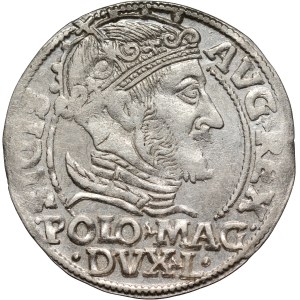 Sigismund II Augustus, Lithuanian penny per Polish foot 1548, Vilnius