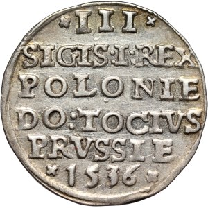 Sigismund I the Old, trojak 1536, Elbląg