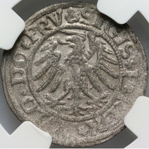 Sigismund I the Old, shilling 153?, Elblag, unlisted