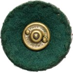 PSZnZ, Badge of the 11th Communications Battalion