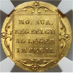 Russia, Nicholas I, Netherlands Ducat 1849, St. Petersburg