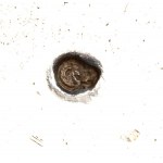 Französisch massivem Silber cruet