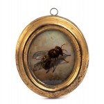 Group of four paintings on paper with insects