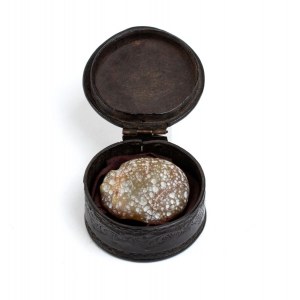 Bezoar with leather case