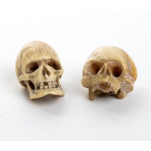 Two German marine ivory skulls