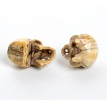 Two German marine ivory skulls