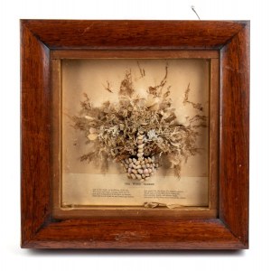 Still life in seaweed and shells