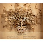 Still life in seaweed and shells