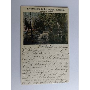 POSTCARD SLIVIN SCHLEFFIN, REWAL, REWAHL, LONG ADDRESS, PRE-WAR
