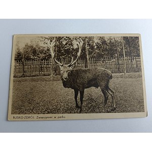 POCZTÓWKA BUSKO ZDRÓJ ZWIERZYNIEC W PARKU, JELEŃ, PRZEDWOJENNA 1936 R, ZNACZEK, STEMPEL