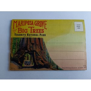 POSTCARD SPREAD USA UNITED STATES MARIPOSA GROVE BIG TREES YOSEMITE NATIONAL PARK