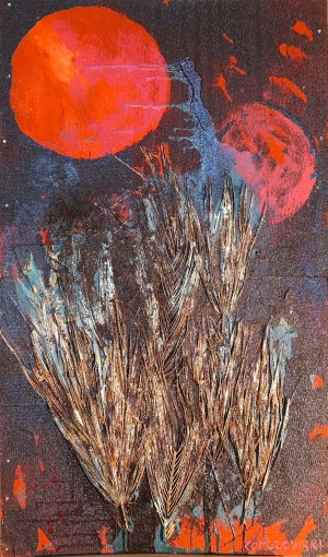 Bogdan Korczowski, Traverse du Desert (Sahara)