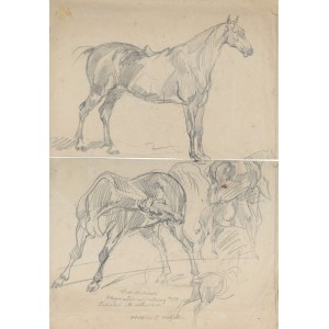 Piotr MICHAŁOWSKI (1800-1855), Szkice koni (rysunek dwustronny)