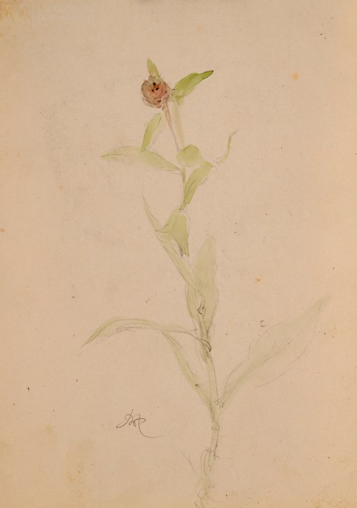Wlastimil HOFMAN (1881-1970), 