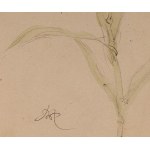 Wlastimil HOFMAN (1881-1970), Fleurs des champs (œuvre recto-verso)