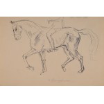 Wlastimil HOFMAN (1881-1970), Konie - studia z figury z brązu (praca dwustronna)