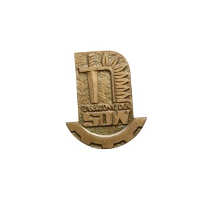 Meritorious Service to the SOW badge.