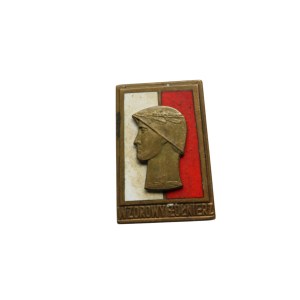 Model Soldier badge 1973.