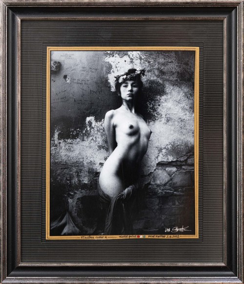 Jan SAUDEK (ur. 1935), Taschen cover