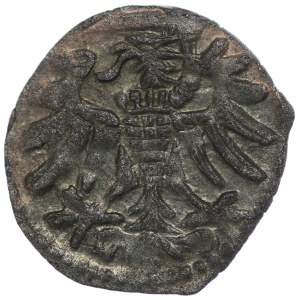 Zygmunt II August, Denar Gdańsk 1550