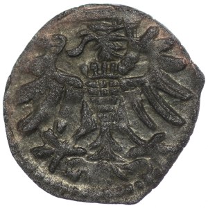 Sigismund II Augustus, Denarius of Gdansk 1550