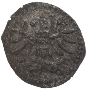 Sigismund II Augustus, Denar Gdansk 1554