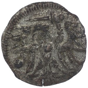 Zygmunt II August, Denar Gdańsk 1557