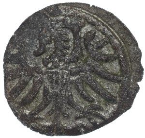 Sigismund II Augustus, Denar Elbląg 1557