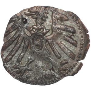 Prusy Książęce, Albrecht Hohenzollern, Denar bez daty, Królewiec