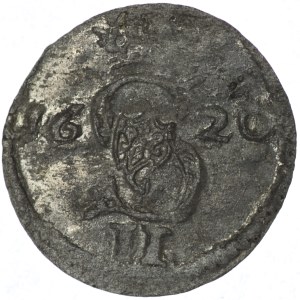 Sigismund III Vasa, dwudenar 1620, Vilnius