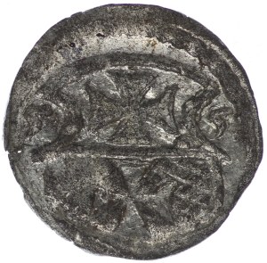 Sigismund II Augustus, Denar Elbląg 1555