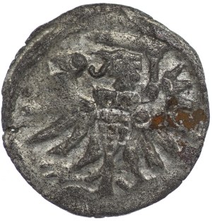 Sigismund II Augustus, Denar Elbląg 1555