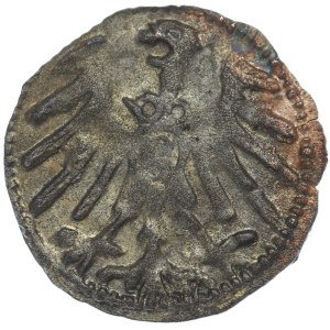 Prusy Książęce, Albrecht Hohenzollern, Denar bez daty, Królewiec
