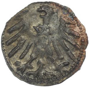 Ducal Prussia, Albrecht Hohenzollern, Denarius without date, Königsberg