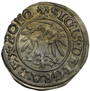 Sigismund I the Old, Danzig, shill 1539