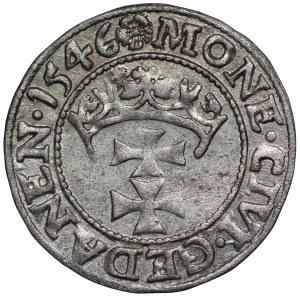 Zygmunt I Stary, Gdańsk, szeląg 1546