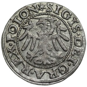 Zygmunt I Stary, Gdańsk, szeląg 1546