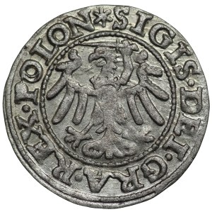 Sigismund I the Old, Danzig, the 1546 shebang