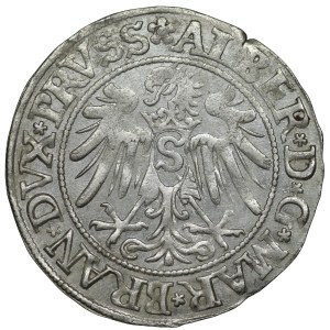 Prusy Książęce, Albert Hohenzollern, grosz 1534, Królewiec