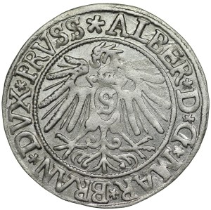 Ducal Prussia, Albert Hohenzollern, penny 1538, Königsberg