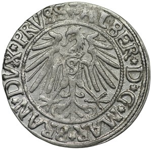 Ducal Prussia, Albert Hohenzollern, penny 1542, Königsberg