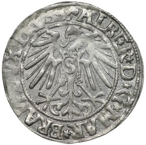 Ducal Prussia, Albert Hohenzollern, penny 1545, Königsberg