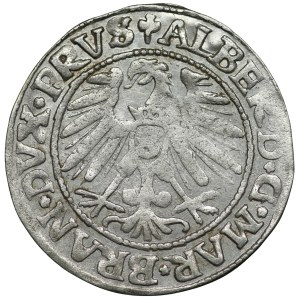 Prusy Książęce, Albert Hohenzollern, grosz 1546, Królewiec