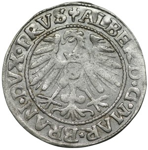 Ducal Prussia, Albert Hohenzollern, penny 1546, Königsberg