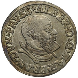 Prusy Książęce, Albert Hohenzollern, Trojak 1535, Królewiec, PRVSS