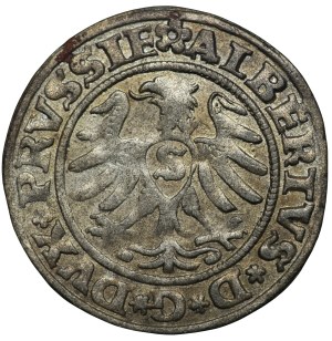 Ducal Prussia, Albrecht Hohenzollern, 1530 shekel, Königsberg