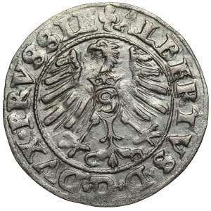 Ducal Prussia, Albrecht Hohenzollern, 1550 shekel, Königsberg