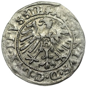 Ducal Prussia, Albrecht Hohenzollern, 1550 shekel, Königsberg