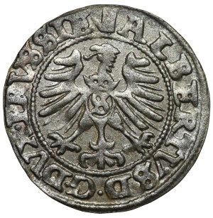 Ducal Prussia, Albrecht Hohenzollern, 1557 shekel, Königsberg